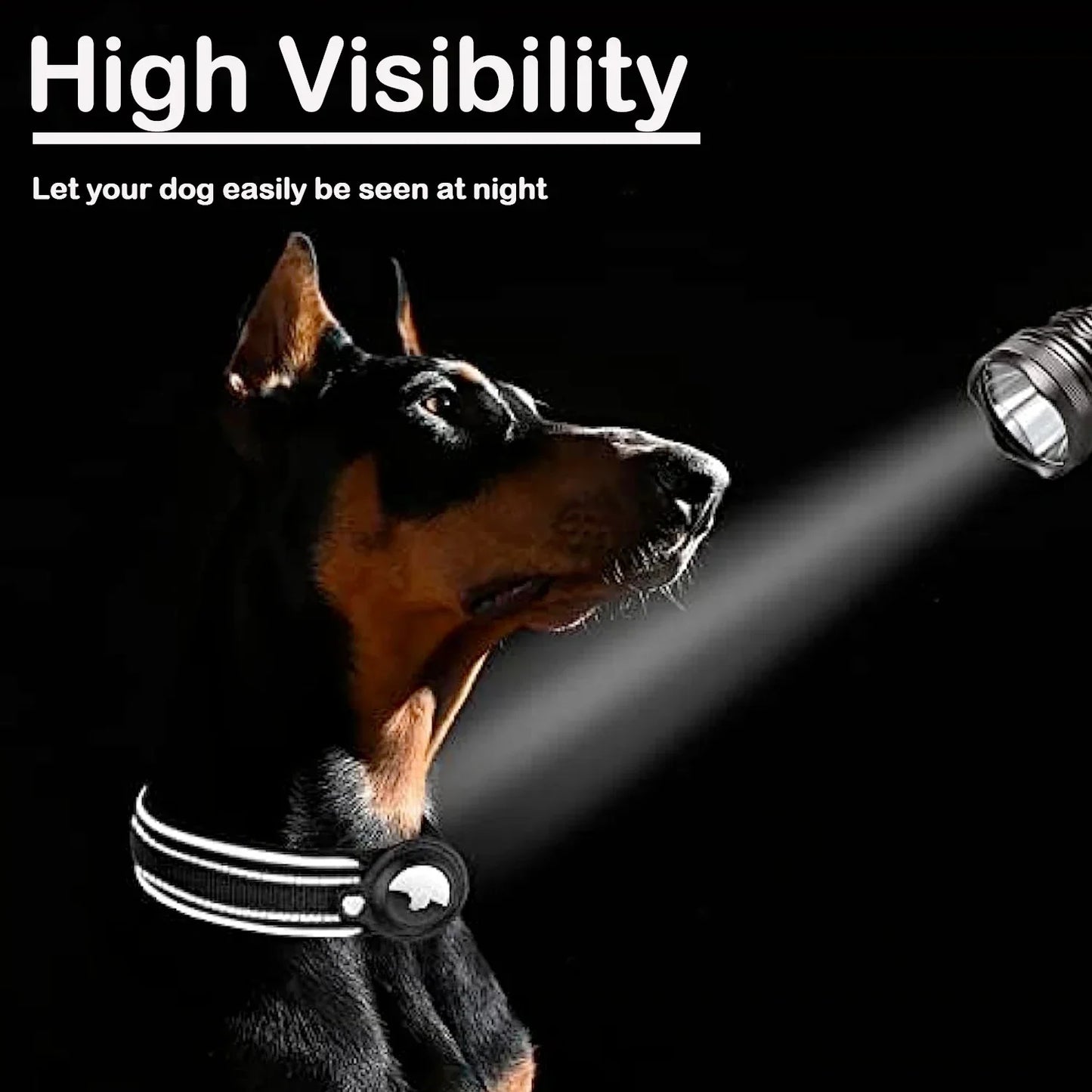 TrackPaws Airtag Pet Collar - LumiSnail